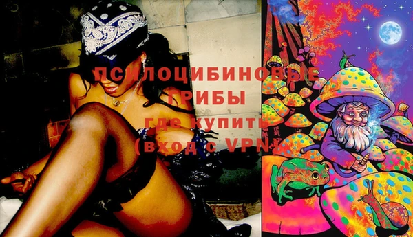 гашик Семёнов