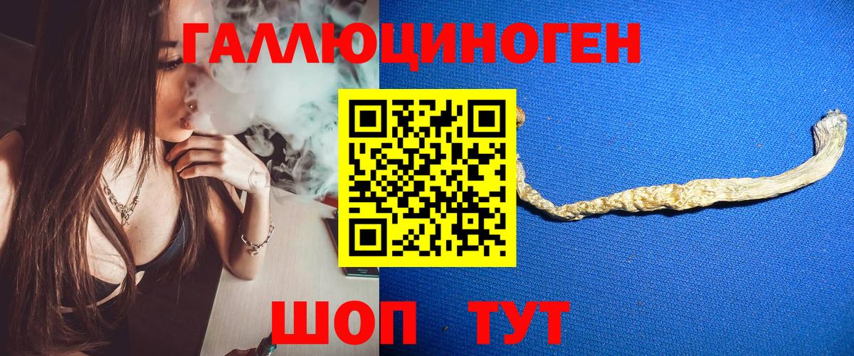 Стрежевой  Псилоцибиновые грибы Psilocybine cubensis  как найти   Вход с VPN 